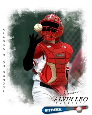 ALVIN LEO BASEBALL - SPORTS ENLIVEN EFFECT